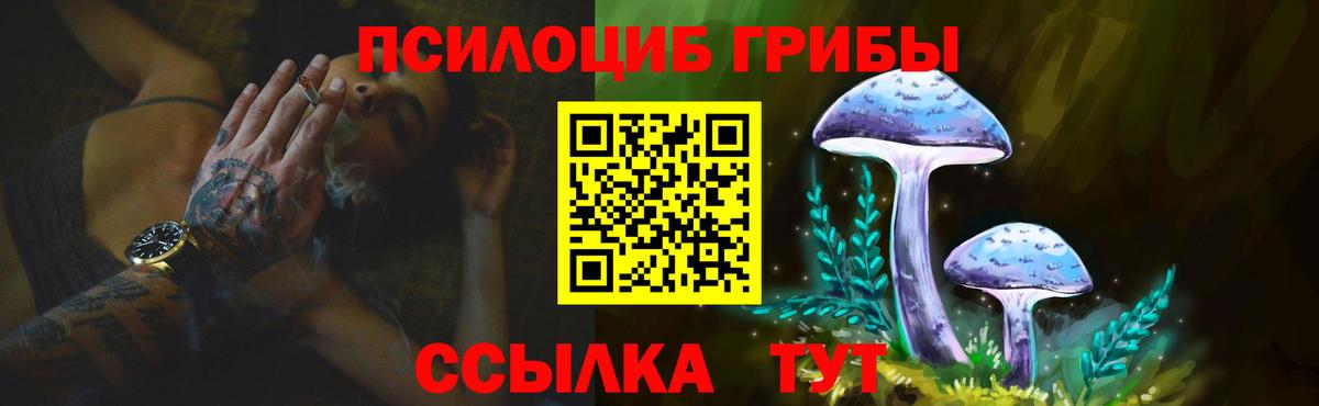 Галлюциногенные грибы GOLDEN TEACHER  Вход с VPN  Торжок  Псилоцибиновые грибы мицелий 