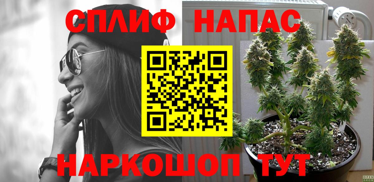 Конопля SATIVA & INDICA Торжок